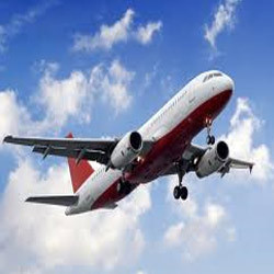 Services Provider of International Air Tour